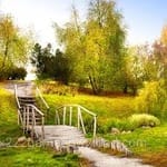 صارف کا اواتار